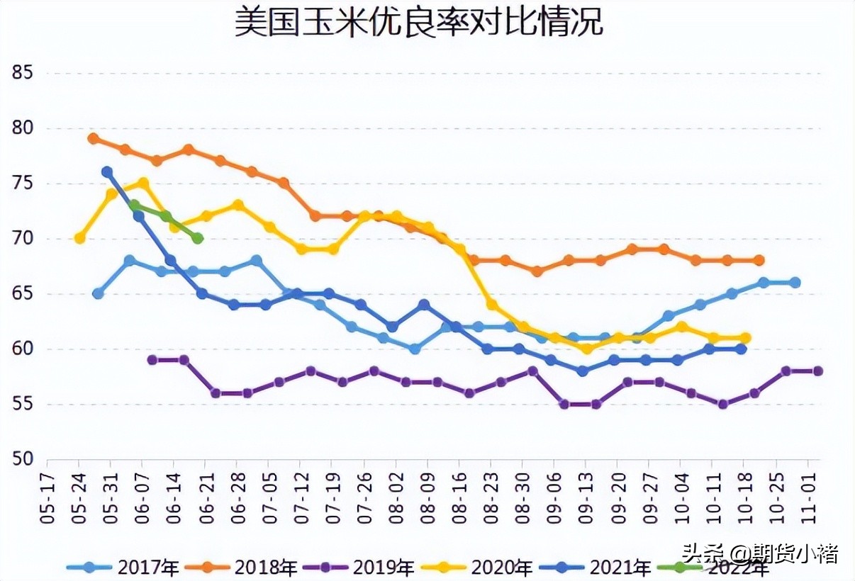 玉米期货暴跌,市场恐慌出货,期货贴水现货,此时不多,更待何时?