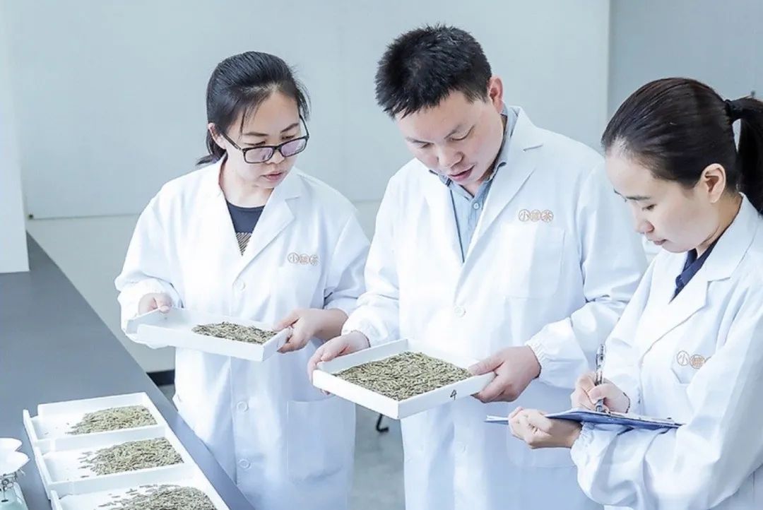 从传统茶到现代茶，小罐茶能否用科学搬走中国茶的“三座大山”？