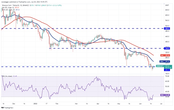 价格分析：BTC ETH BNB ADA XRP SOL DOGE DOT LEO AVAX