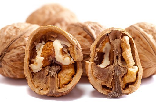 walnuts-2312506__340.jpg