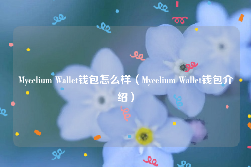 Mycelium Wallet钱包怎么样（Mycelium Wallet钱包介绍）