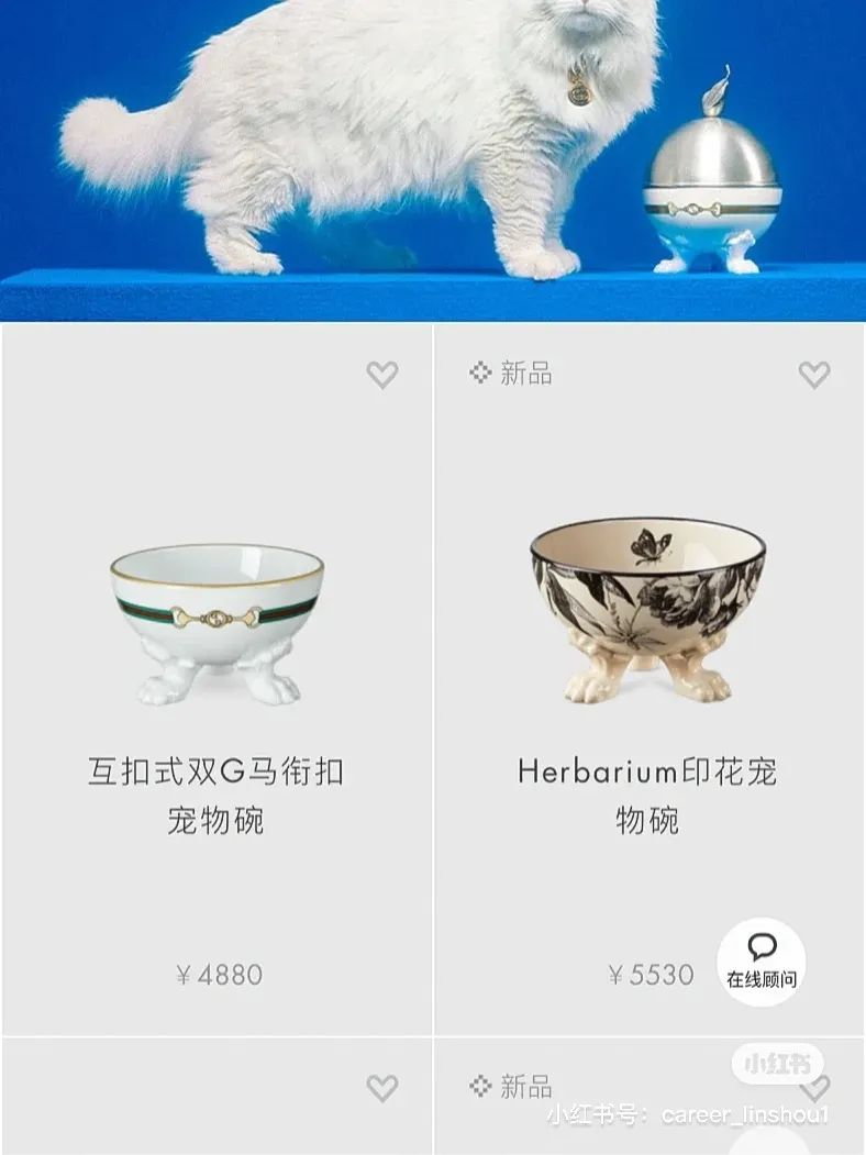 Gucci正式入局，奢侈品为什么要布局1000亿宠物市场