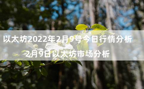 以太坊2022年2月9号今日行情分析，2月9日以太坊市场分析