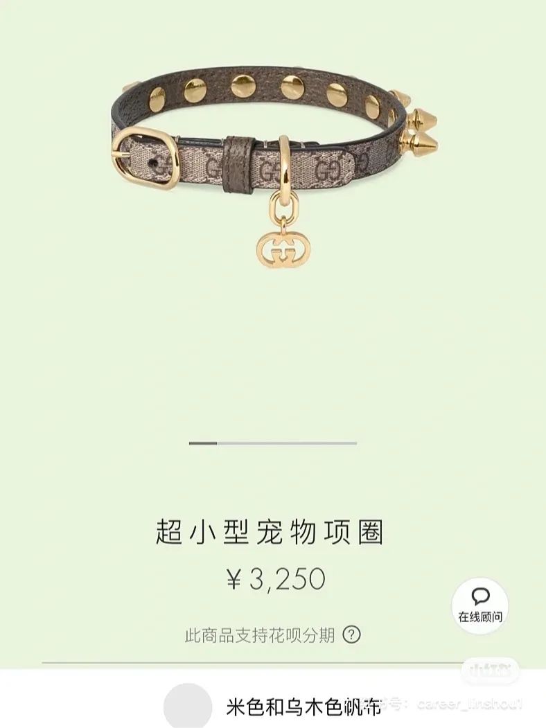 Gucci正式入局，奢侈品为什么要布局1000亿宠物市场