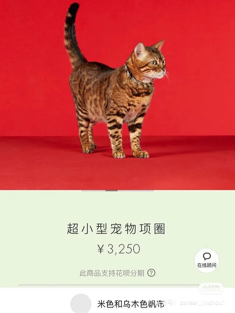 Gucci正式入局，奢侈品为什么要布局1000亿宠物市场