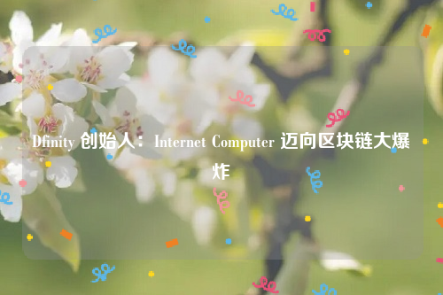 Dfinity 创始人：Internet Computer 迈向区块链大爆炸