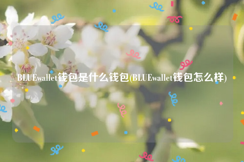 BLUEwallet钱包是什么钱包(BLUEwallet钱包怎么样)