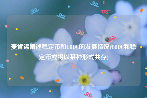 麦肯锡阐述稳定币和CBDC的发展情况(CBDC和稳定币或将以某种形式共存)