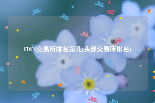 FDEX交易所排名第几(头部交易所排名)