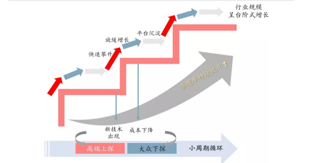 云鲸“搁浅”2022