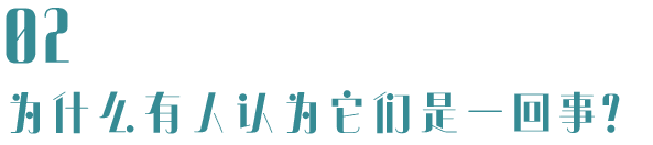 谁才是下一代互联网？Web3或是元宇宙