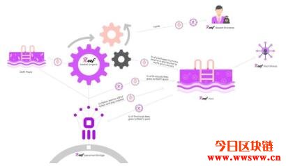 Reef Finance（REEF）：波卡的DeFi流动挖矿跨链平台插图(9)