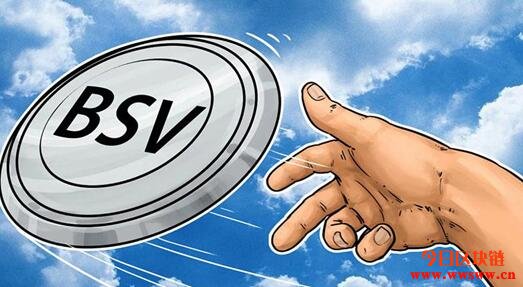 Bitcoin SV (BSV) 是什么？插图(1)