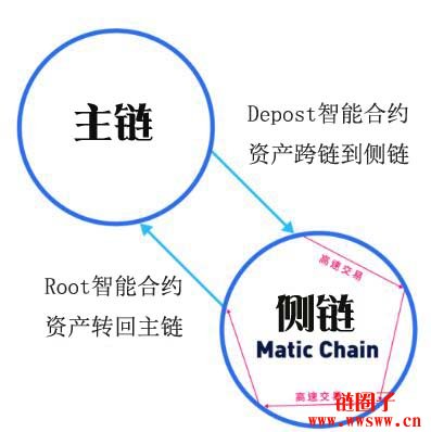 获得Coinbase和Binance支持并孵化的项目Matic Network是什么？插图(3)