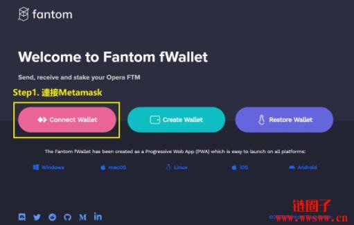 Fantom(FTM币)是什么？为什么要投资FTM？FTM币的用途介绍插图(17)