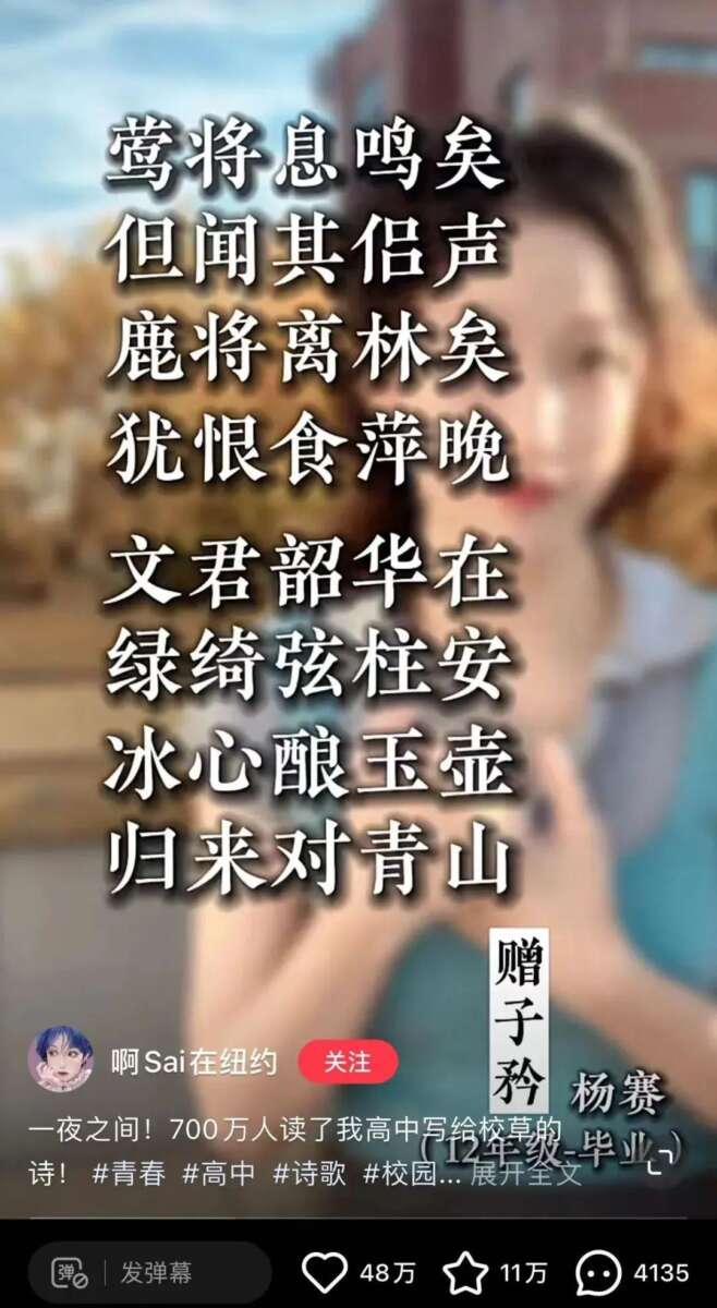 精致派博主“包围”小红书