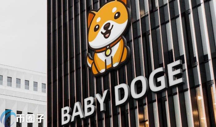 BABYDOGE币未来潜力怎么样？宝贝狗币怎么样？