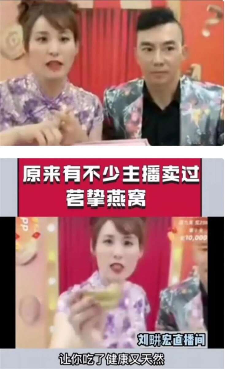 辛巴再战抖音！从拉刘畊宏下水开始