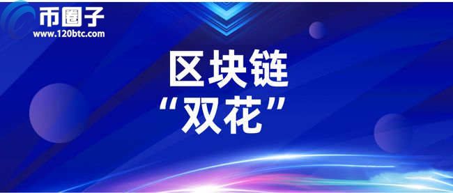 区块链及数字货币中双花问题是什么意思？