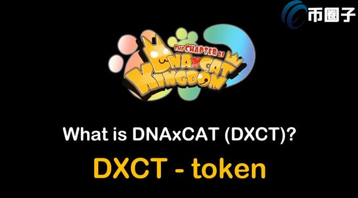 DXCT币发行价多少？DXCT币发行价格和发行时间介绍