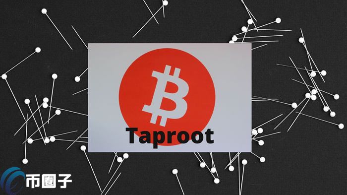 比特币Taproot是什么意思？一文读懂比特币Taproot升级