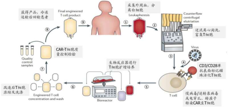 CAR-T简史：中国创业药的关键战场